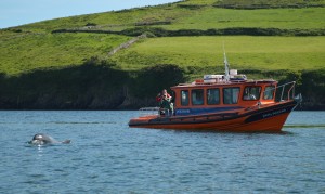 peig blasket islands