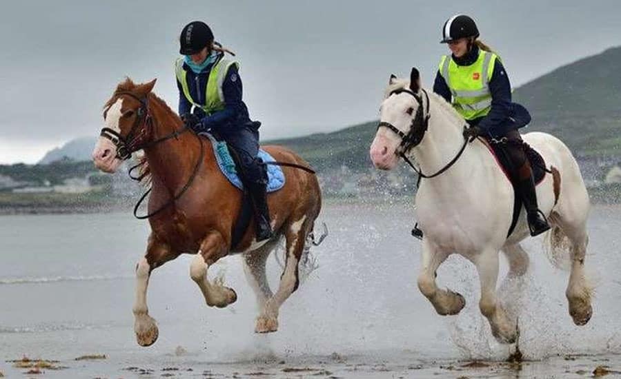 Area 0002 Dingle horse riding